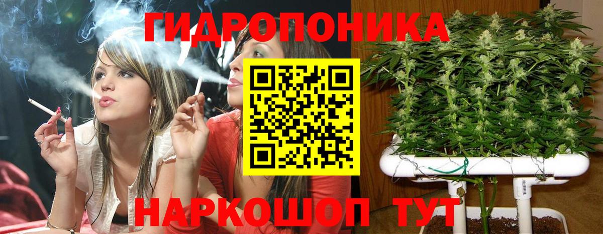 Бошки Шишки сатива Новоалтайск
